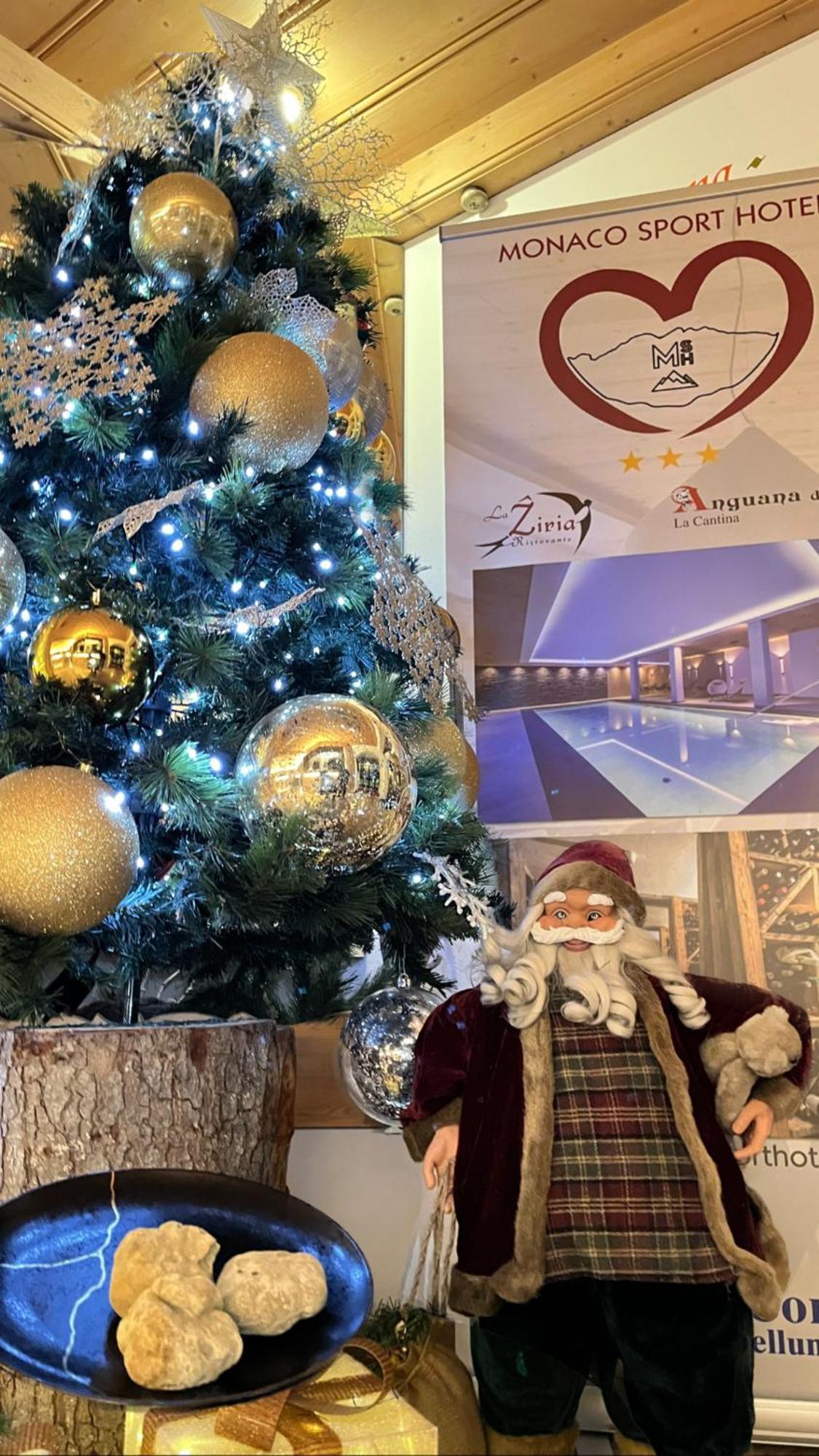 Monaco Sport Hotel Santo Stefano Di Cadore Luaran gambar